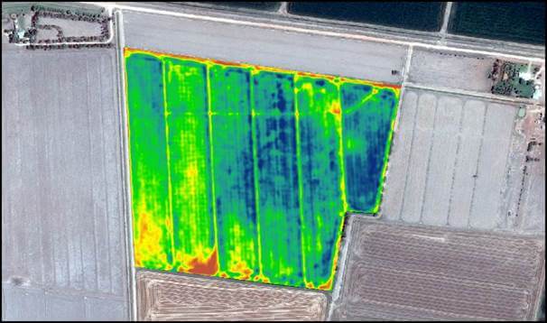 High res satellite imagery with NDVI