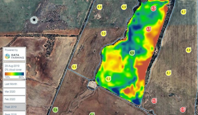 DataFarming NDVI images are now available to Summit Fertilizers clients in Western Australia | Datafarming